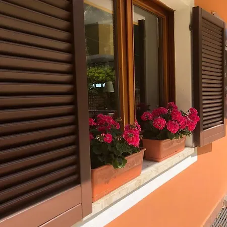 Paradiso *